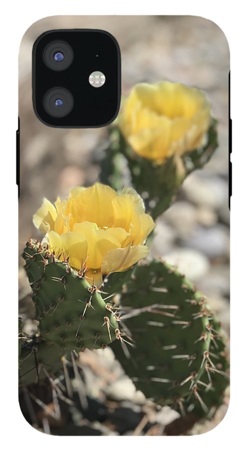 Prickly Pear  - Phone Case