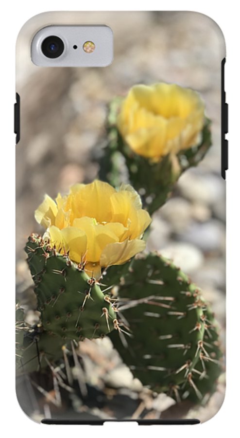 Prickly Pear  - Phone Case