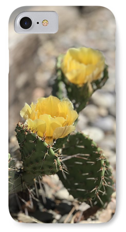 Prickly Pear  - Phone Case