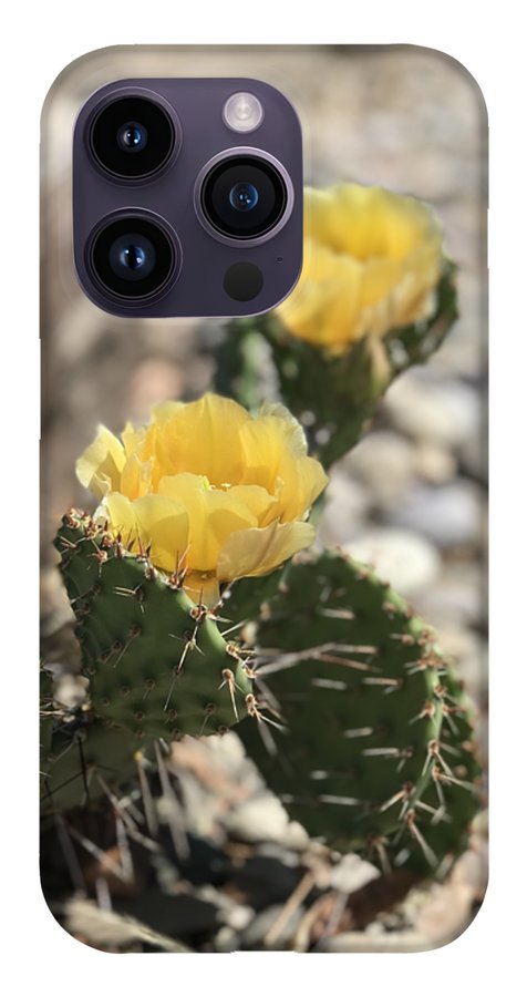 Prickly Pear  - Phone Case