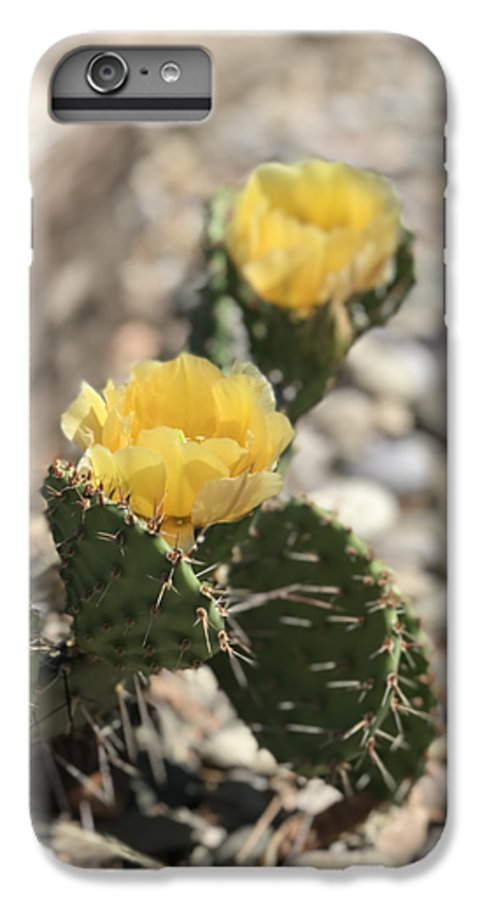 Prickly Pear  - Phone Case