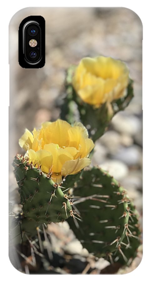 Prickly Pear  - Phone Case