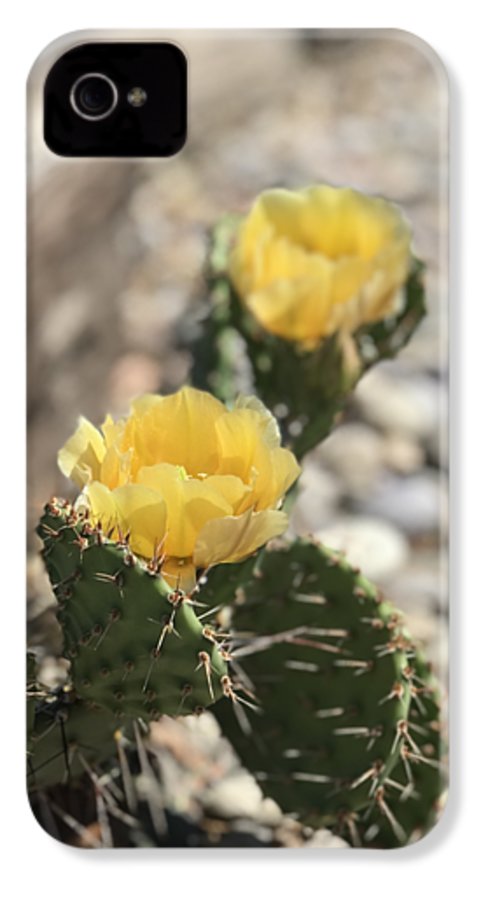 Prickly Pear  - Phone Case