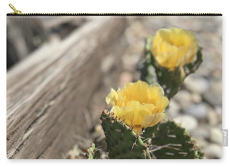 Prickly Pear  - Zip Pouch