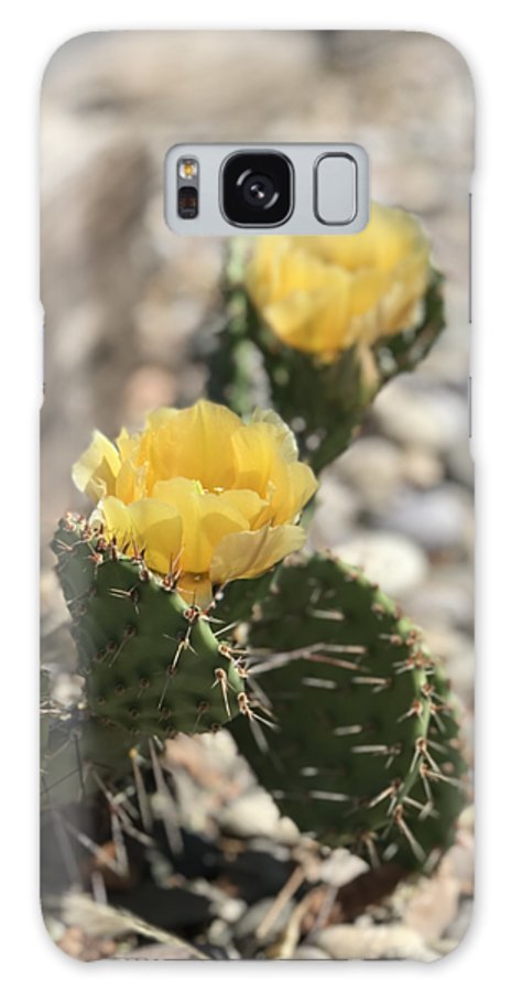 Prickly Pear  - Phone Case