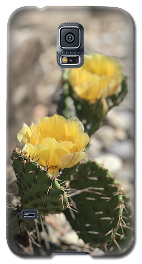 Prickly Pear  - Phone Case