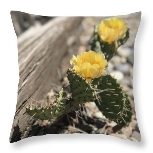 Prickly Pear  - Throw Pillow