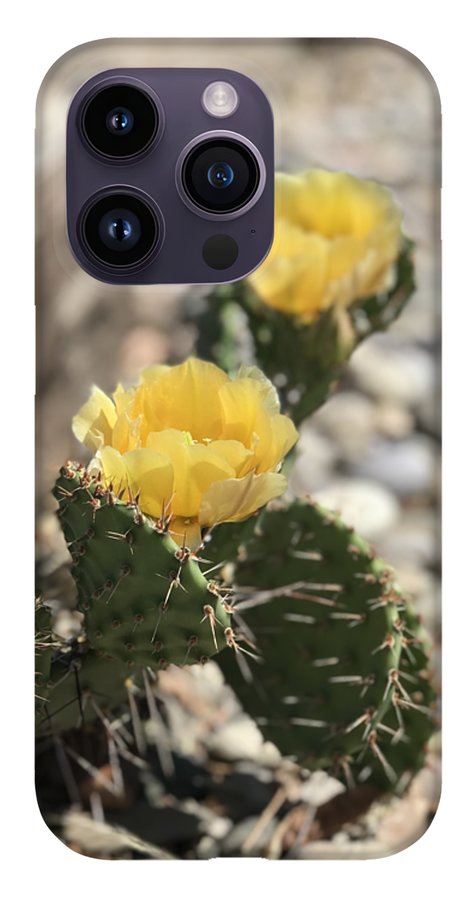 Prickly Pear  - Phone Case