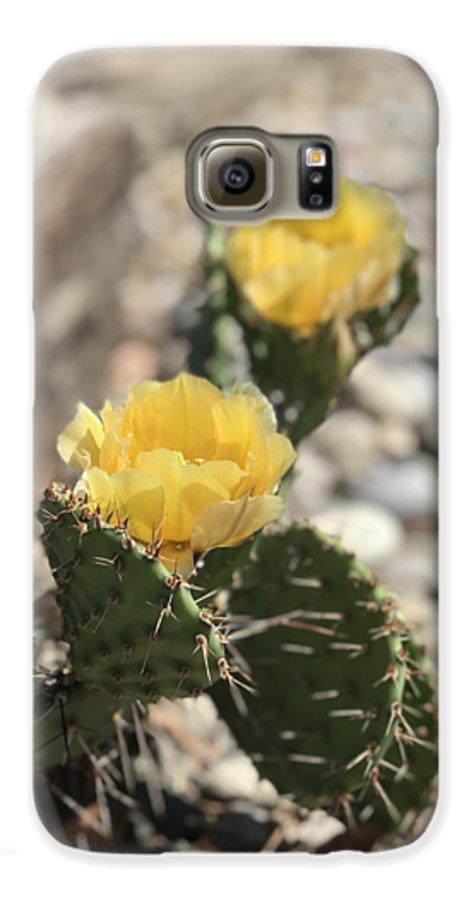 Prickly Pear  - Phone Case