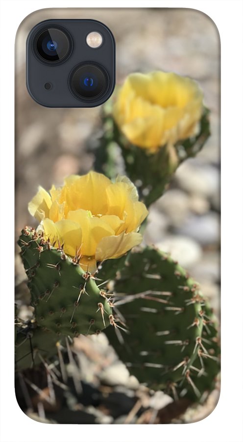 Prickly Pear  - Phone Case