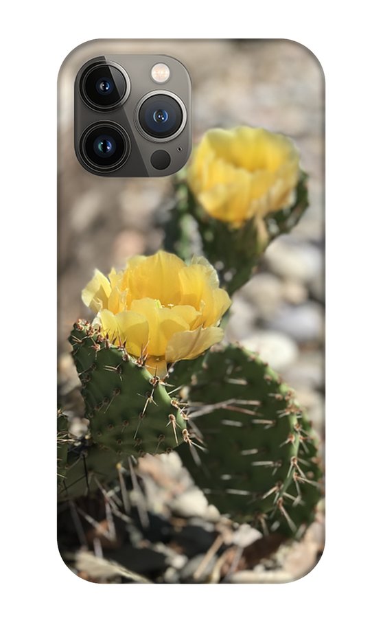 Prickly Pear  - Phone Case