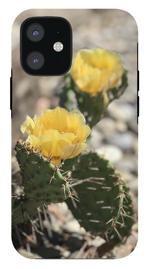 Prickly Pear  - Phone Case