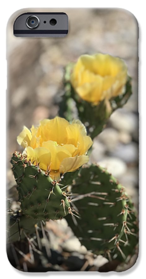 Prickly Pear  - Phone Case