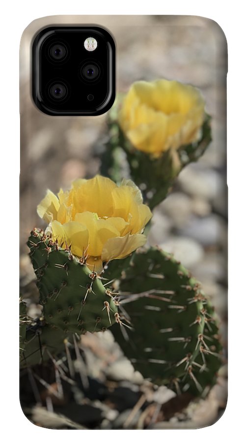 Prickly Pear  - Phone Case