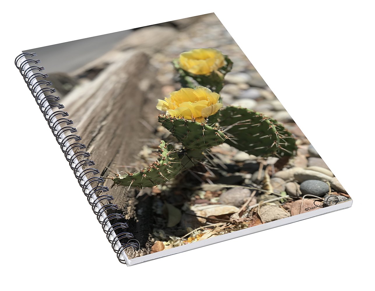 Prickly Pear  - Spiral Notebook