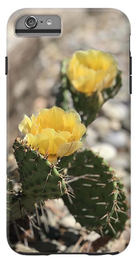 Prickly Pear  - Phone Case