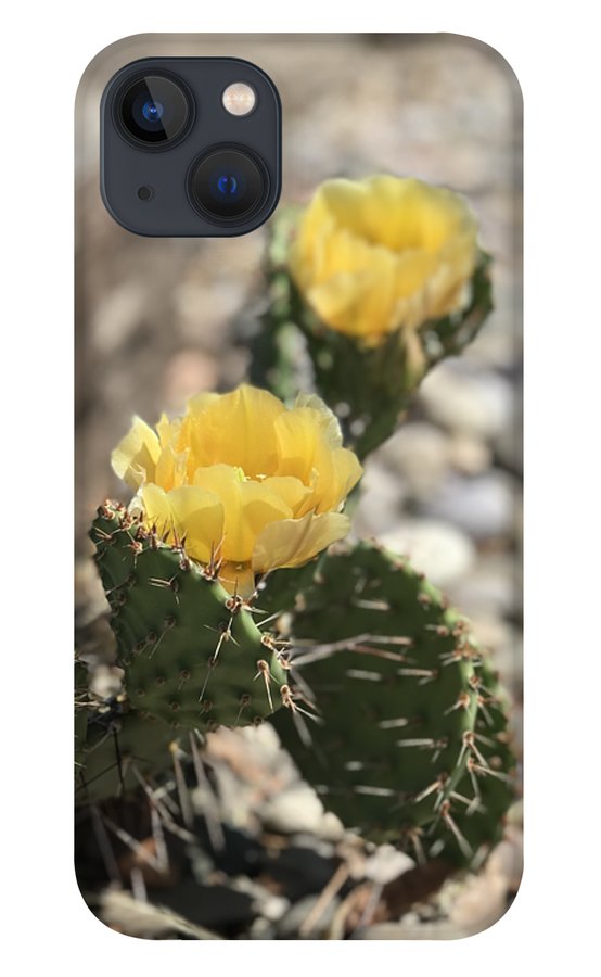 Prickly Pear  - Phone Case