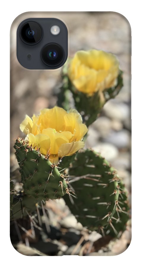 Prickly Pear  - Phone Case