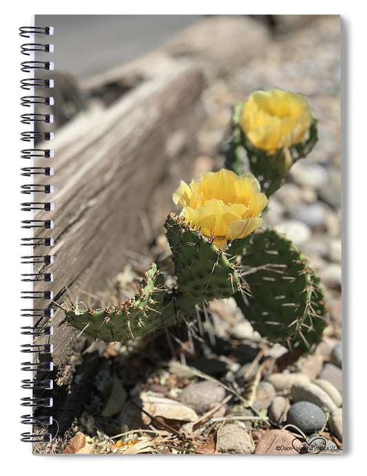 Prickly Pear  - Spiral Notebook