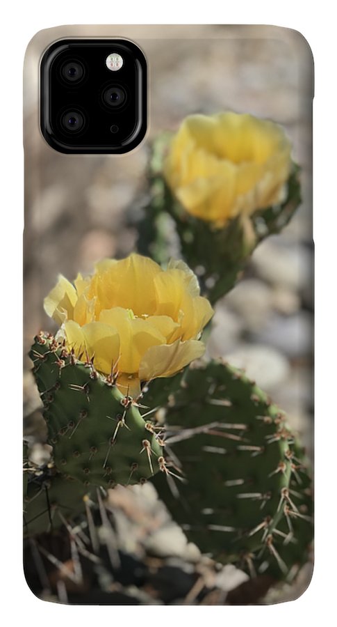 Prickly Pear  - Phone Case