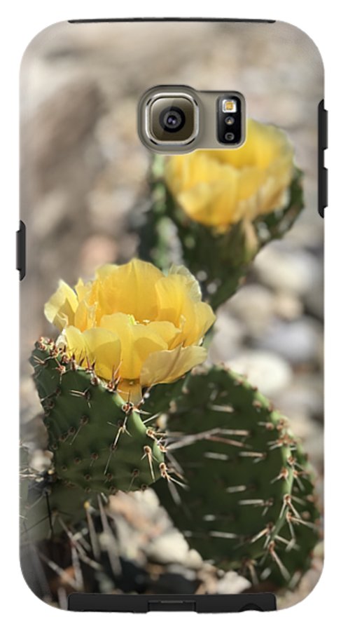 Prickly Pear  - Phone Case