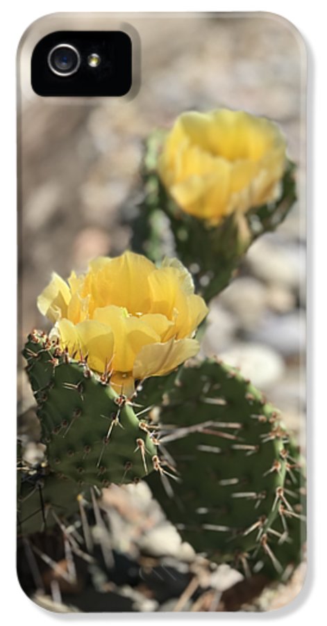 Prickly Pear  - Phone Case