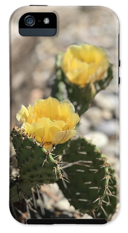 Prickly Pear  - Phone Case