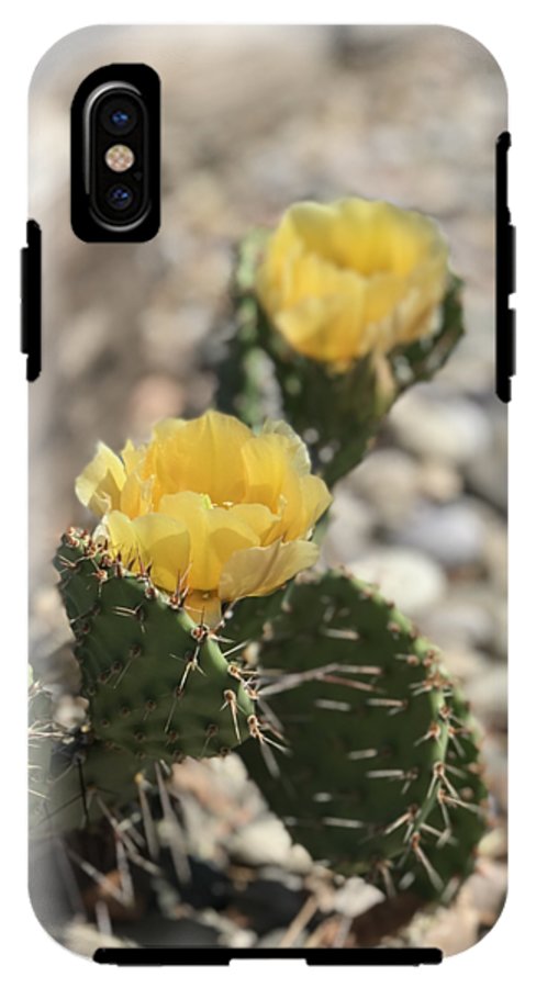 Prickly Pear  - Phone Case