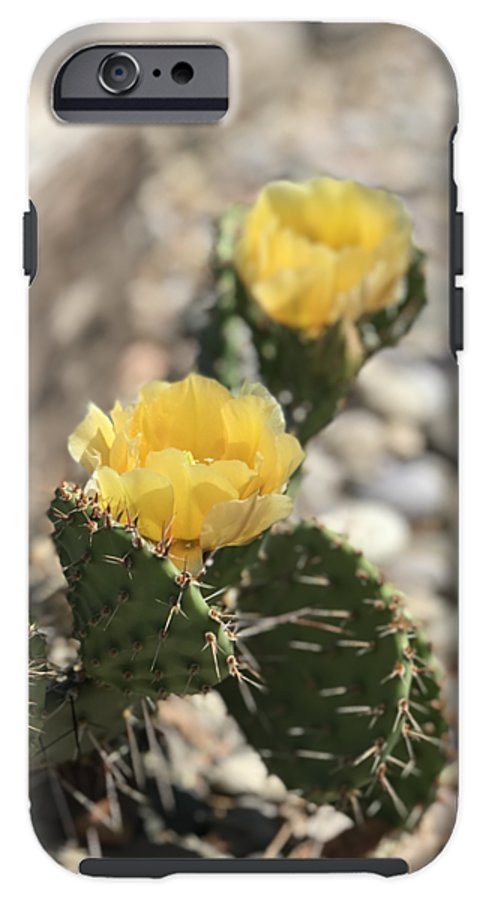 Prickly Pear  - Phone Case