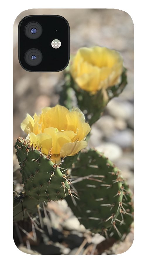 Prickly Pear  - Phone Case