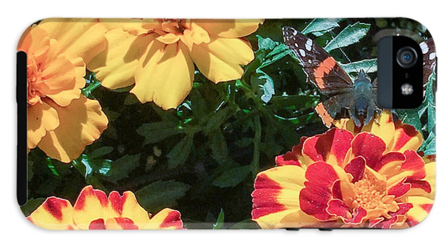 Red Admiral on Marigold - Phone Case