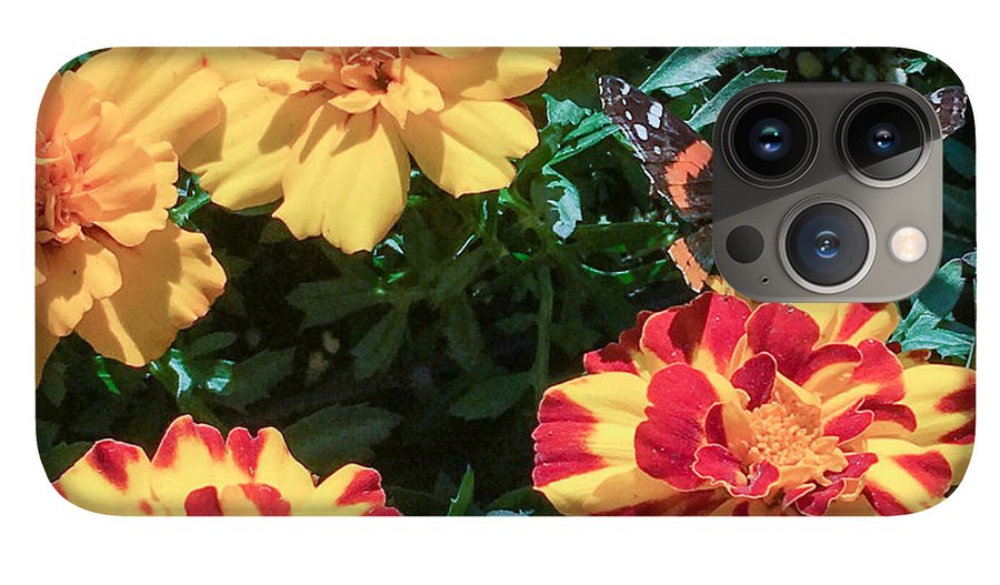 Red Admiral on Marigold - Phone Case