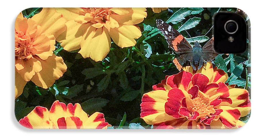 Red Admiral on Marigold - Phone Case