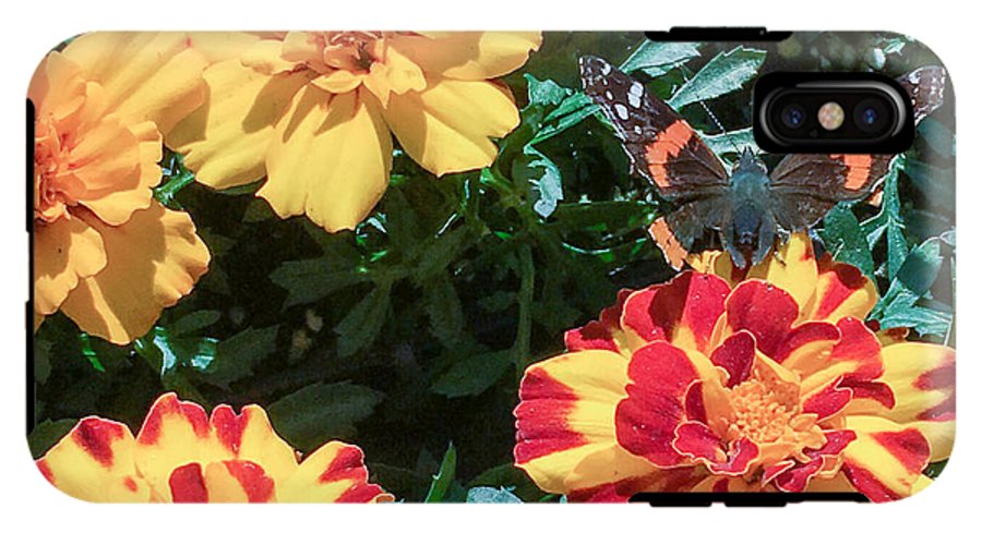 Red Admiral on Marigold - Phone Case