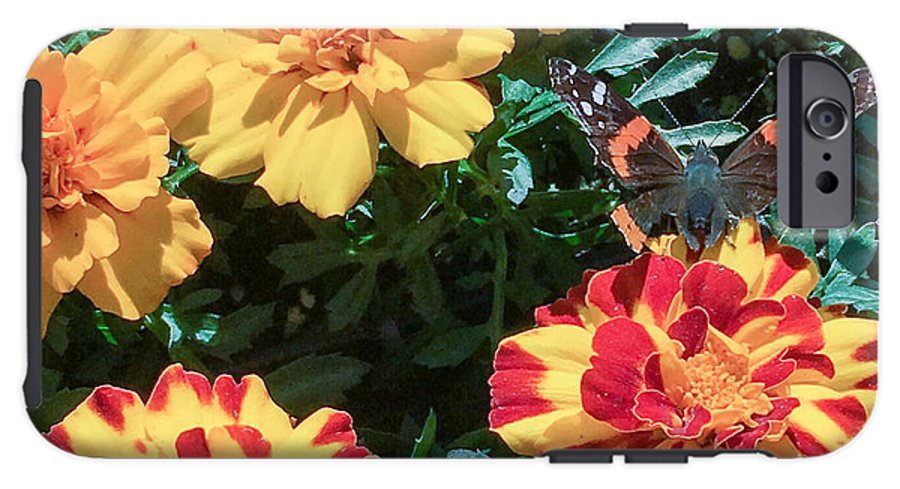 Red Admiral on Marigold - Phone Case