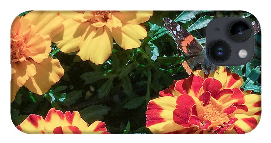 Red Admiral on Marigold - Phone Case