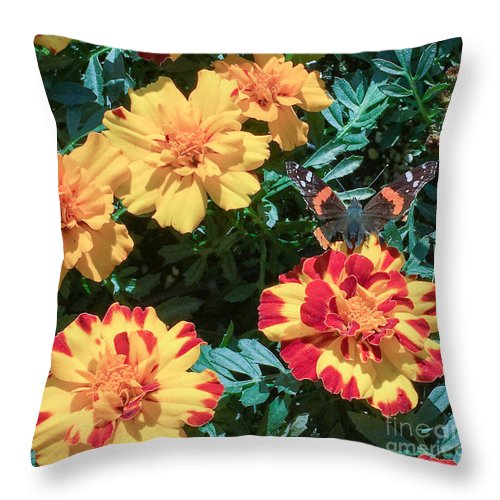 Red Admiral on Marigold - Throw Pillow