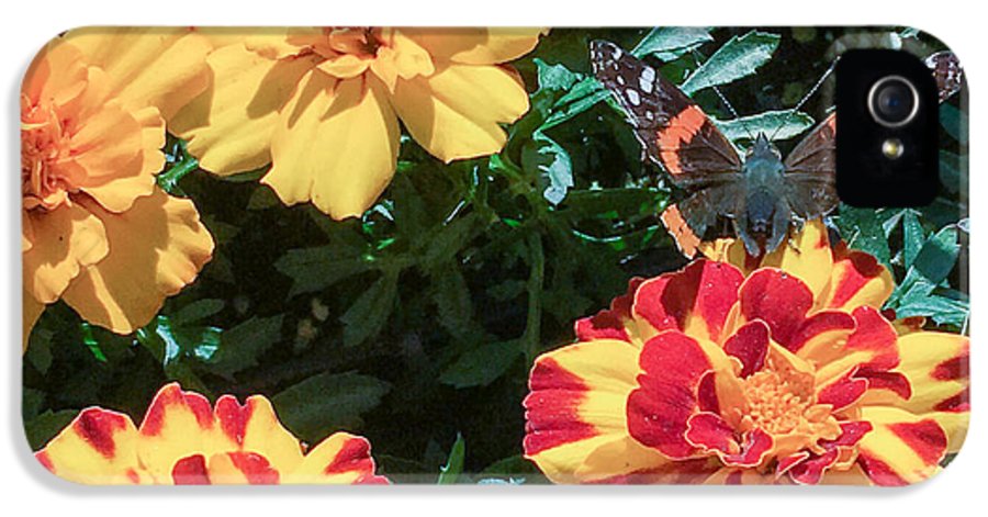 Red Admiral on Marigold - Phone Case