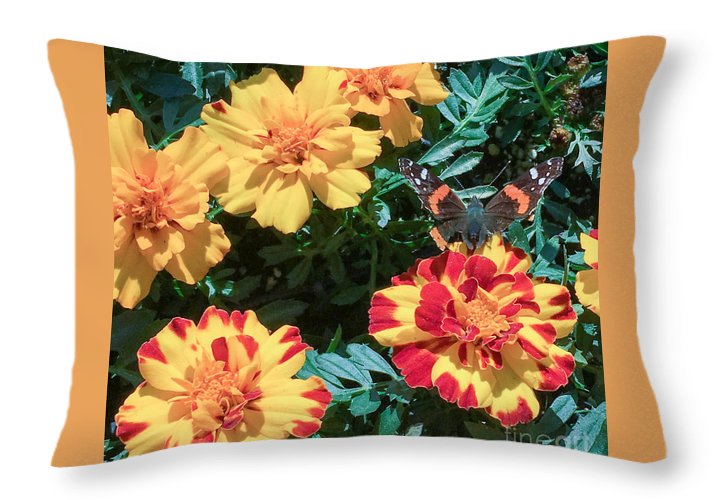 Red Admiral on Marigold - Throw Pillow