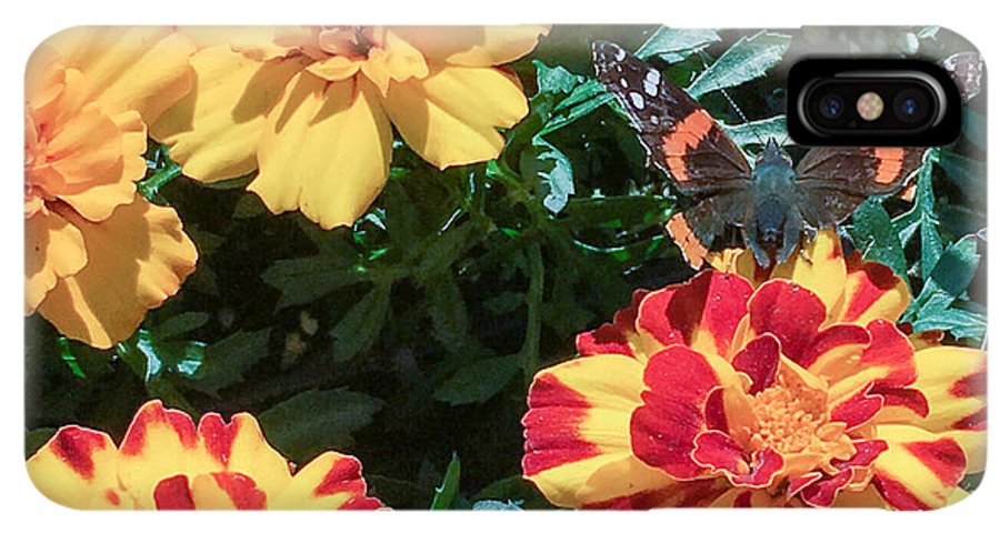 Red Admiral on Marigold - Phone Case