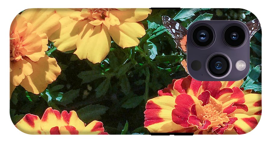 Red Admiral on Marigold - Phone Case