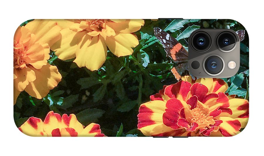 Red Admiral on Marigold - Phone Case