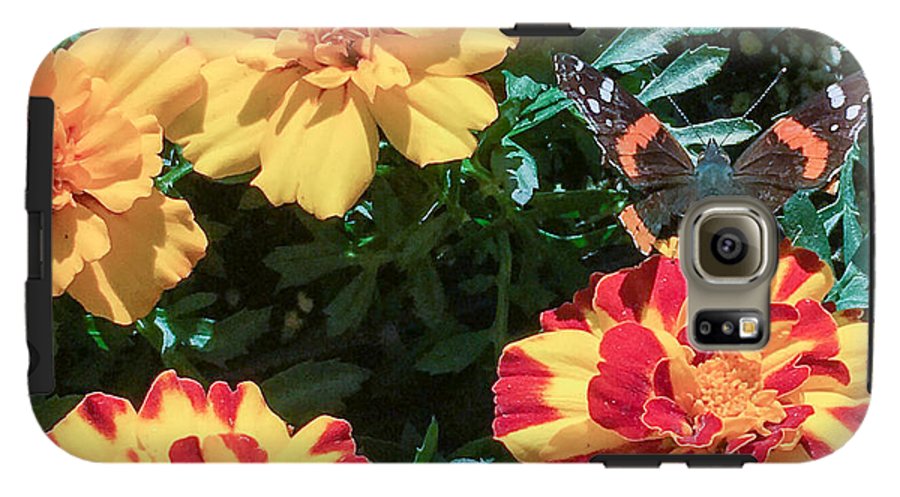 Red Admiral on Marigold - Phone Case