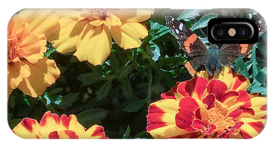 Red Admiral on Marigold - Phone Case