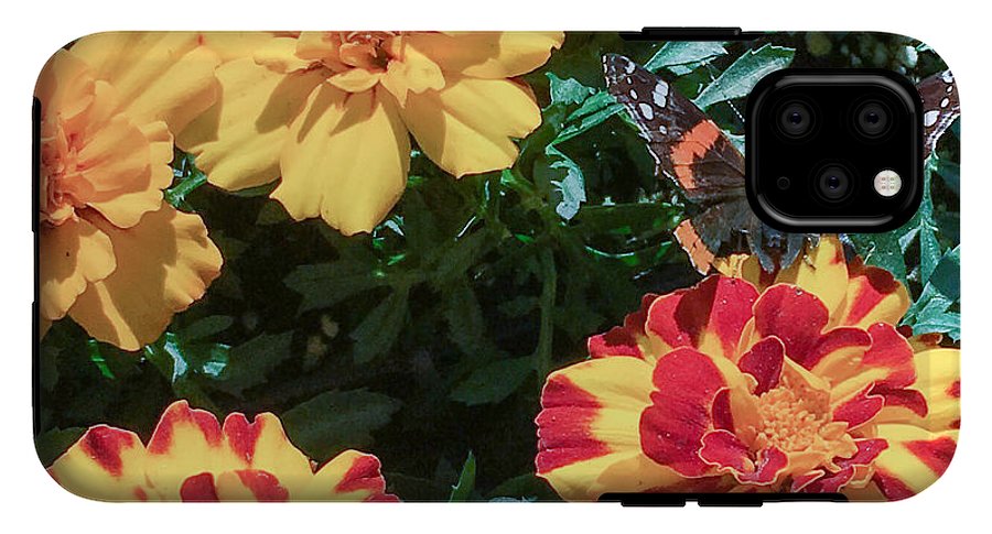 Red Admiral on Marigold - Phone Case