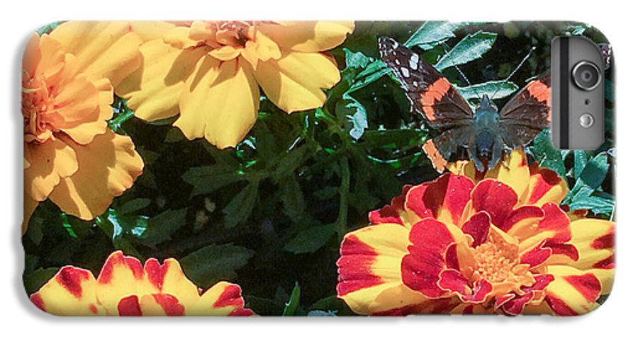 Red Admiral on Marigold - Phone Case