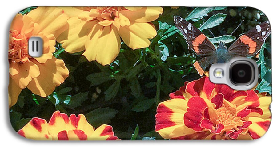 Red Admiral on Marigold - Phone Case