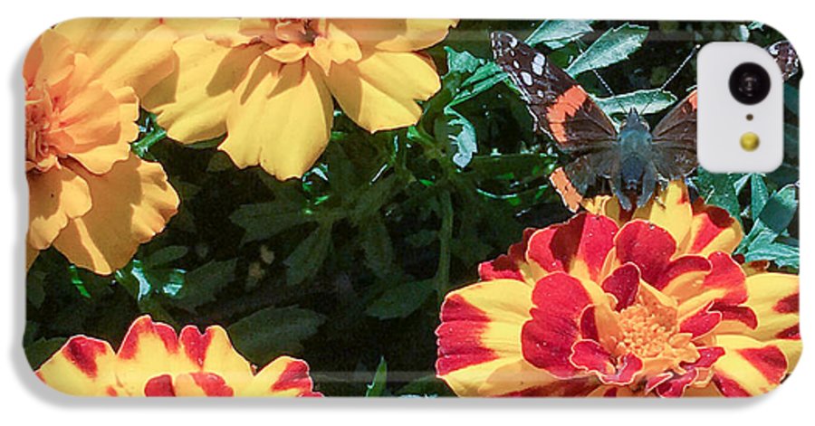 Red Admiral on Marigold - Phone Case