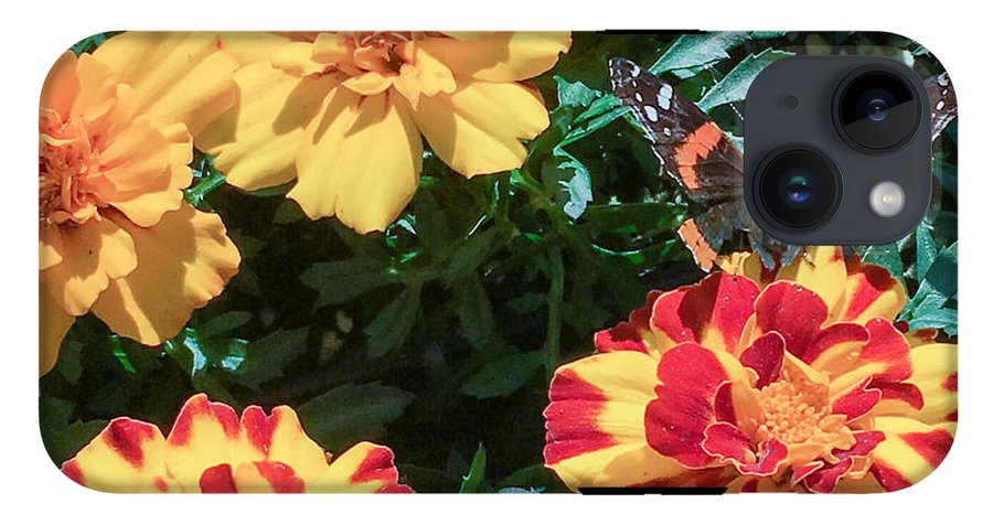 Red Admiral on Marigold - Phone Case