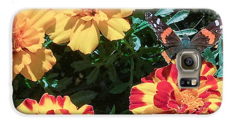 Red Admiral on Marigold - Phone Case